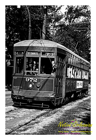 New Orleans Scenes