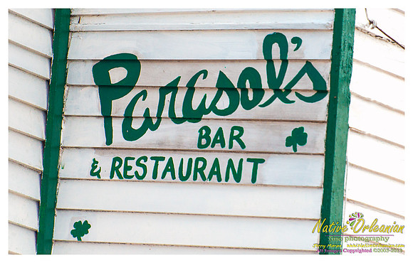 irish_channel_new_orleans_scenes_jm_040813_002