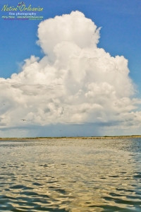 racisl_jm__080810_0040_009a