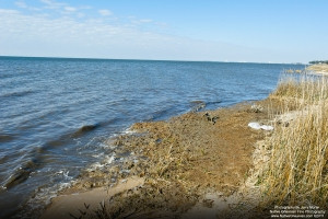 oceansp_jm_022311_0267_a