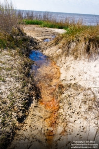 oceansp_jm_022311_0276_a