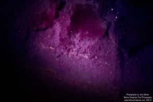 bil_uv_jm_111810_0051_a