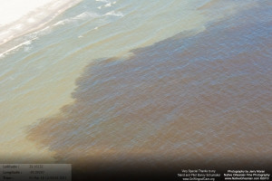 On March 18, 2011, I took a flight over the Gulf Coast from Horn Island Mississippi all the way to Raccoon Island to check on the status of wildlife, marshes, and other impacts from the BP Oil Spill.  When we were slightly east of Grand Isle and Grand Terre island I started to see those familiar reddisheaks in the water, which extended from east of Grand Isle, Elmer