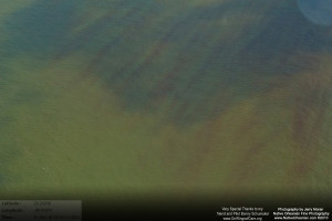 On March 18, 2011, I took a flight over the Gulf Coast from Horn Island Mississippi all the way to Raccoon Island to check on the status of wildlife, marshes, and other impacts from the BP Oil Spill.  When we were slightly east of Grand Isle and Grand Terre island I started to see those familiar reddisheaks in the water, which extended from east of Grand Isle, Elmer
