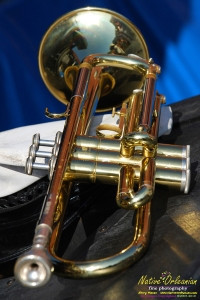 trumpet111mf24x36-17