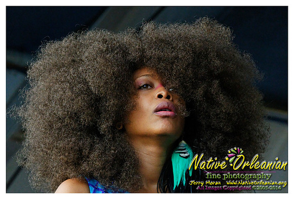 erykah_baduh_jazz_fest_2009_jm_©nofp