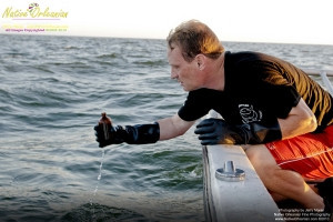 On 9-1-10, I teamed up with Sea Shepherd for some water sampling in the Mississippi Sound, around Cat and Ship Island.  Additionally I was able to check out the beaches in Bay St. Louis and Long Beach Miss. and did take some water samples where that oh so familiar dispersant foam appeared. Lat 30,14.7574N Long 89,1.3957W  Pictured here are  water samples being taken in the Mississippi Sound between Cat and Ship Island by Sea Shepherd crewman David Hance.