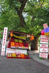 fruitstand24x36