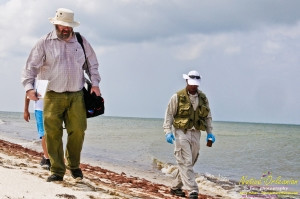 8/9/10 lat 30,14.5535N, long  88,43.3291W, Sampling with Boston Chemical Data, www.labs.pro , Pictured here is Strongbear and Jim Stiles collecting and documenting  weathered tar ball samples, south side of Horn Island.