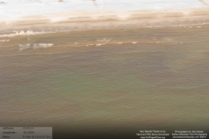 gulf_flight_jm__031811_0667_a