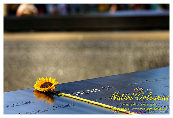 nofp_new_york_city_jm_090513_009