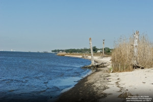 oceansp_jm_022311_0264_a