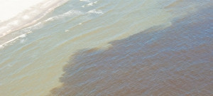 On March 18, 2011, I took a flight over the Gulf Coast with Bonny Schumaker of On Wings of Care, http://onwingsofcare.org/ from Horn Island Mississippi all the way to Raccoon Island to check on the status of wildlife, marshes, and other impacts from the BP Oil Spill.  When we were slightly east of Grand Isle and Grand Terre island I started to see those familiar reddisheaks in the water, which extended from east of Grand Isle, Elmer