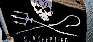 On 9-1-10, I teamed up with Sea Shepherd for some water sampling in the Mississippi Sound, around Cat and Ship Island.  Additionally I was able to check out the beaches in Bay St. Louis and Long Beach Miss. and did take some water samples where that oh so familiar dispersant foam appeared.