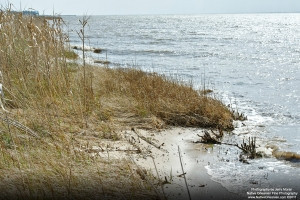 oceansp_jm_022311_0400_a