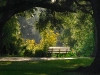 bench-big-easy.jpg
