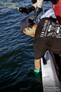 On 9-1-10, I teamed up with Sea Shepherd for some water sampling in the Mississippi Sound, around Cat and Ship Island.  Additionally I was able to check out the beaches in Bay St. Louis and Long Beach Miss. and did take some water samples where that oh so familiar dispersant foam appeared. Lat 30,15.3493N Long  89,4.4415W  Pictured here is are water samples being taken south of Cat Island by Sea Shepherd Dean Miya.