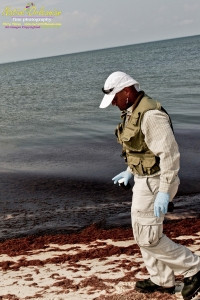 8/9/10 Horn Island, Lat  30,14.91N Long 88,42.0947W, Sampling with Boston Chemical Data, www.labs.pro , Pictured here is Strongbear  looking along beach for weathered tar ball samples from BP spill, north side of Horn Island.