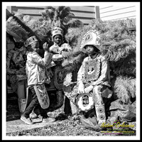 big_chief_monk_boudreaux_mardi_gras_day_jm_020916_008