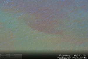 On March 18, 2011, I took a flight over the Gulf Coast from Horn Island Mississippi all the way to Raccoon Island to check on the status of wildlife, marshes, and other impacts from the BP Oil Spill.  When we were slightly east of Grand Isle and Grand Terre island I started to see those familiar reddisheaks in the water, which extended from east of Grand Isle, Elmer