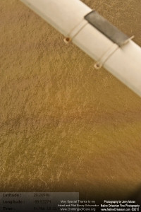 On March 18, 2011, I took a flight over the Gulf Coast from Horn Island Mississippi all the way to Raccoon Island to check on the status of wildlife, marshes, and other impacts from the BP Oil Spill.  When we were slightly east of Grand Isle and Grand Terre island I started to see those familiar reddisheaks in the water, which extended from east of Grand Isle, Elmer