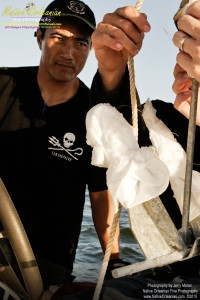 On 9-1-10, I teamed up with Sea Shepherd for some water sampling in the Mississippi Sound, around Cat and Ship Island.  Additionally I was able to check out the beaches in Bay St. Louis and Long Beach Miss. and did take some water samples where that oh so familiar dispersant foam appeared.   Pictured here are Sea Shepherd crewmen carefully attaching the absorbant materials to the anchor.