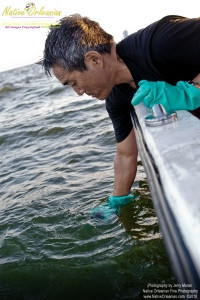 On 9-1-10, I teamed up with Sea Shepherd for some water sampling in the Mississippi Sound, around Cat and Ship Island.  Additionally I was able to check out the beaches in Bay St. Louis and Long Beach Miss. and did take some water samples where that oh so familiar dispersant foam appeared. Lat 30,14.7574N Long 89,1.3957W  Pictured here are  water samples being taken in the Mississippi Sound between Cat and Ship Island by Sea Shepherd crewman Dean Miya, one of our samplers.
.