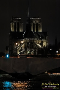 The rear of Notre Dame from the Seine River.