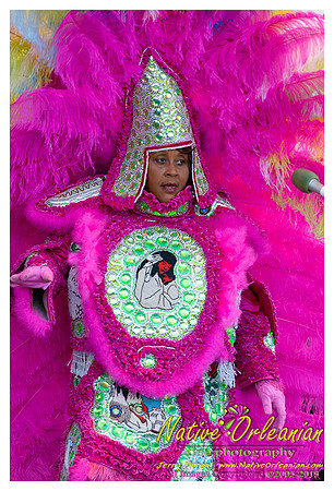 wild_magnolia_mardi_gras_indians_fqf_jm_041213_004