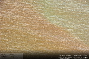 On March 18, 2011, I took a flight over the Gulf Coast from Horn Island Mississippi all the way to Raccoon Island to check on the status of wildlife, marshes, and other impacts from the BP Oil Spill.  When we were slightly east of Grand Isle and Grand Terre island I started to see those familiar reddisheaks in the water, which extended from east of Grand Isle, Elmer