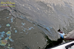 8/9/10 Long  30,17.2702N   Lat 88,46.5522W   On our return to Biloxi from  sampling with Boston Chemical Data, www.labs.pro at Horn island, we ran across this foamy oil slick spotted from the boat about halfway into port.  The very familiar  foam and visible rainbow oil sheen which our boat was sourounded by at times went on for at least 200 yards.  Strongbear did take a sample on the way in, we strongly suspect it is corexit/BP oil related, tests of water will confirm or refute.