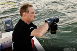 On 9-1-10, I teamed up with Sea Shepherd for some water sampling in the Mississippi Sound, around Cat and Ship Island.  Additionally I was able to check out the beaches in Bay St. Louis and Long Beach Miss. and did take some water samples where that oh so familiar dispersant foam appeared. Lat 30,13.2561N Long 88,59.6451W  Pictured here are Water samples being taken off northeast end of Ship Island.