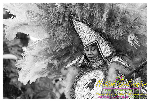 wild_magnolia_mardi_gras_indians_fqf_jm_041213_007