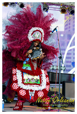 wild_magnolia_mardi_gras_indians_fqf_jm_041213_017