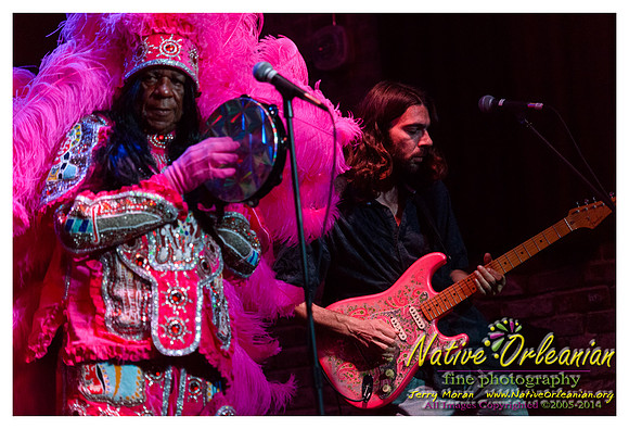 bo_dolis_jr_wild_magnolias_publiq_house_jm_082714_004