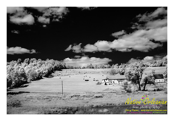 on_the_road_vow_jm_081812_005