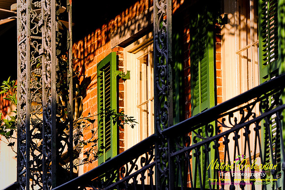 New Orleans Scenes