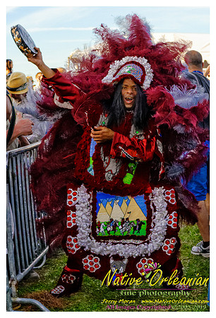wild_magnolia_mardi_gras_indians_fqf_jm_041213_023