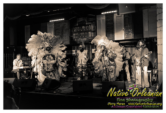 bo_dolis_jr_wild_magnolias_publiq_house_jm_082714_002