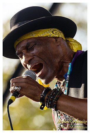 royal_southern_brotherhood_vow_fest_jm_101214_003