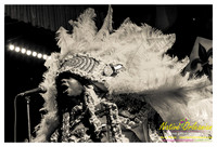 wildmagnolias_tips_jm_031112_007