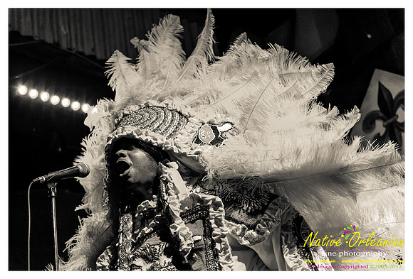 wildmagnolias_tips_jm_031112_007