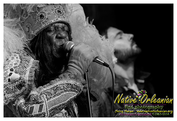 bo_dolis_jr_wild_magnolias_publiq_house_jm_082714_005
