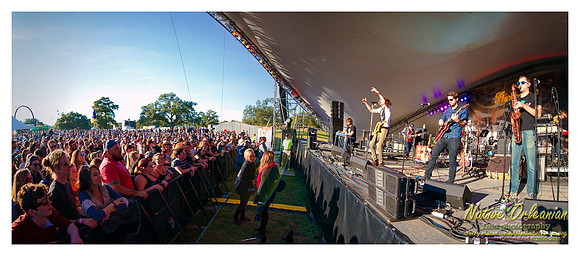 the_revivalists_voodoo_fest_2014_jm_110214_013