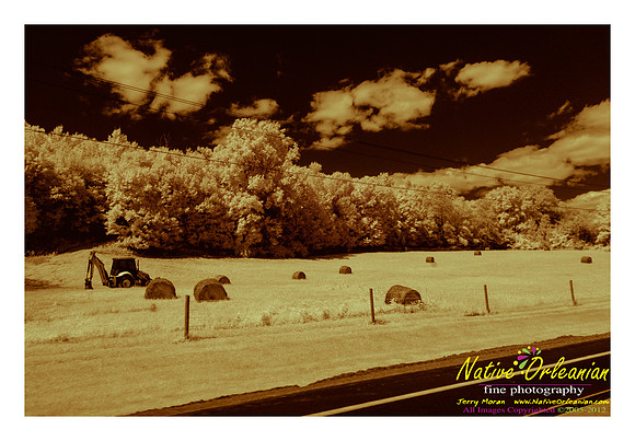 on_the_road_vow_jm_081812_003