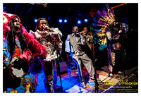wildmagnolias_tips_jm_031112_018