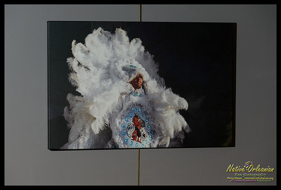 young_wild_magnolia_mardi_gras_indian_jazz_fest_2007_24x36_gallery_wrapped_canvas_jm_nofp©