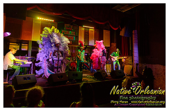 bo_dolis_jr_wild_magnolias_publiq_house_jm_082714_001
