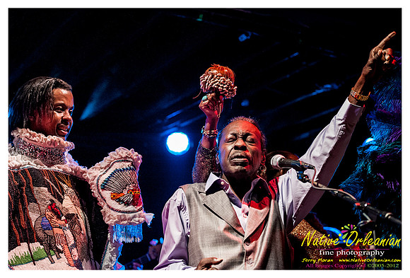 wildmagnolias_tips_jm_031112_022