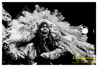 wildmagnolias_tips_jm_031112_013